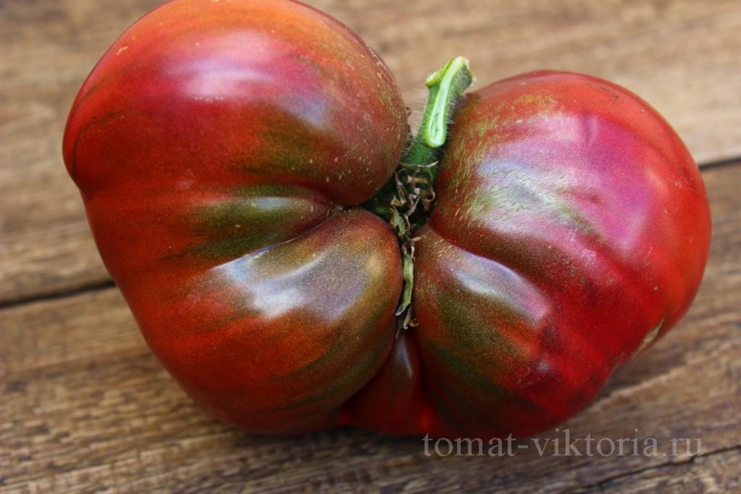 томаты сорта черное сердце америки фото