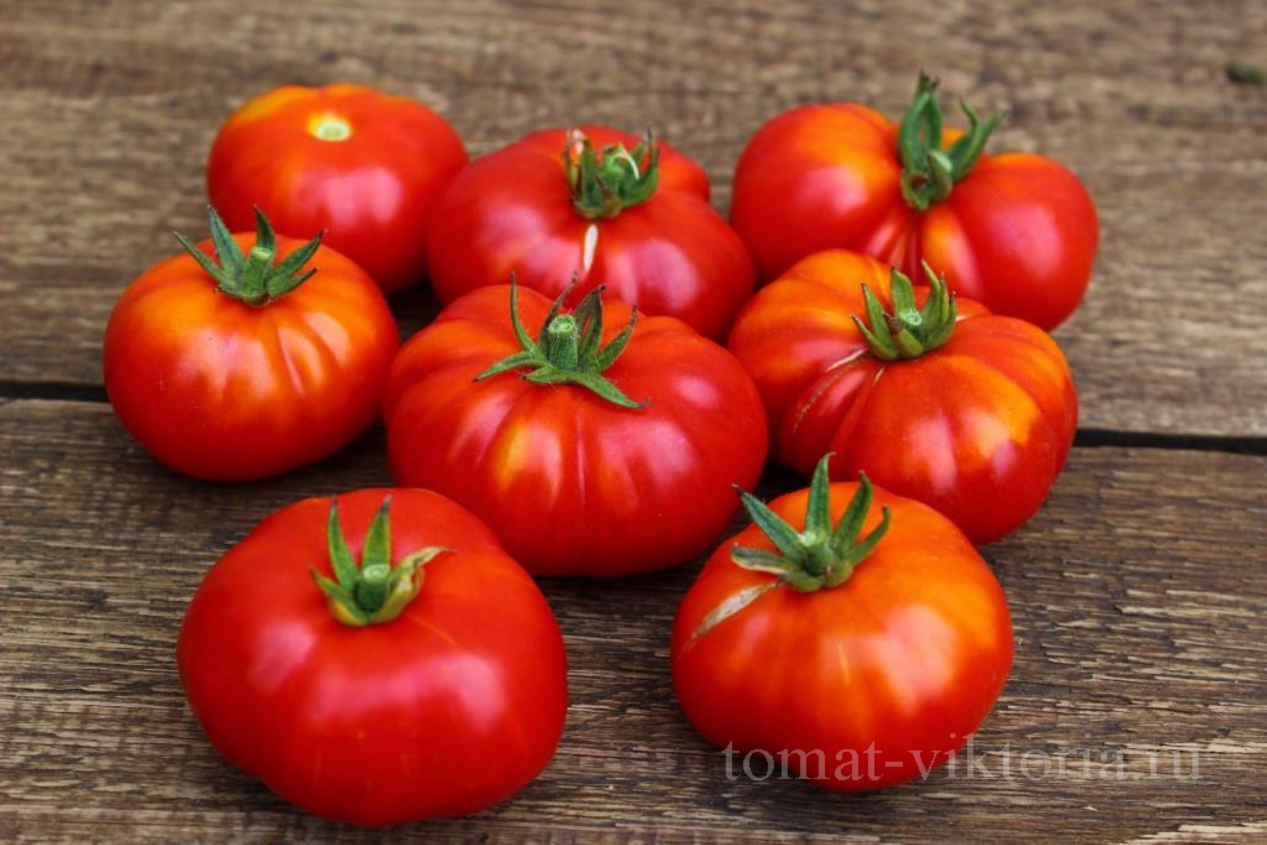 Как заказать -  у Виктории - Купить семена томатов