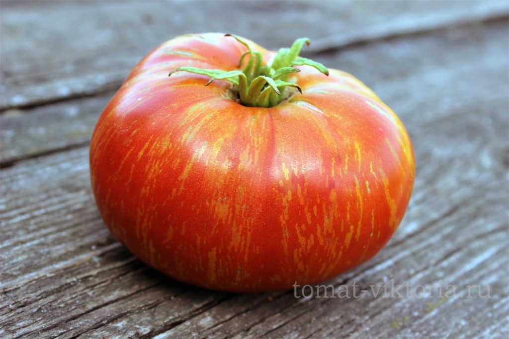 Don tomato. Эльберта персиковая томат. Томат нектарин оранжевый. Томат "двойное удовольствие Дона". Томат Янтарный Барон.